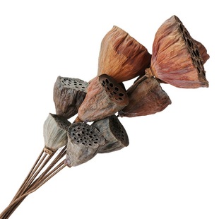 New Year's Dried Flowers bouquet of Eucalyptus Leaves Eternal Flowers Gypsophila Reed Sunflower ins Decorative Dried Flowers Wholesale