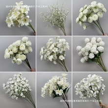 ��ɫϵ��c�������Ļ�Y�ñ����廨�Y��F��·���b�ˇ