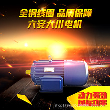 六安大川电机Y2EJ系列电磁制动三相异步电动机新型的全封闭自扇冷