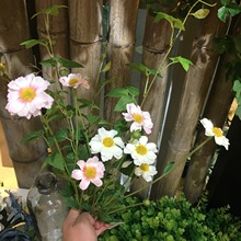 �S��ֱ������u�X�~ ���½����ٻ��͏d�͏d�b[�� ·߅Ұ��Ұ��