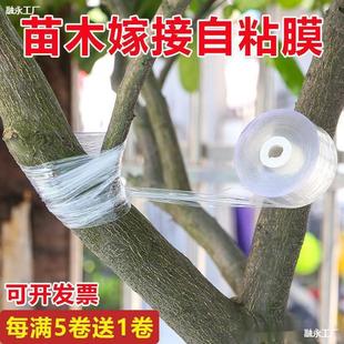 Special Film for Grafting, Glutinous Rice Paper, No Need to Disassemble, Agricultural Fruit Trees Need to Be Tied with Film Grafting Straps