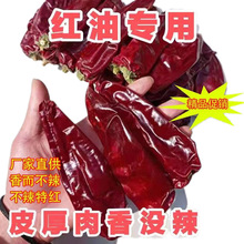 �����ĸ�������彷�t����ɫ�����治�������۲����������������l