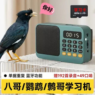 С�B�␞���x�C�˸�W�fԒ�C���P�W�^�̰˸��fԒ�W���CӖ�������l