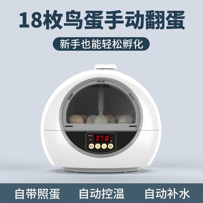 Dieciocho cápsulas espaciales - huevos volcados a mano + huevos de aves iluminadas