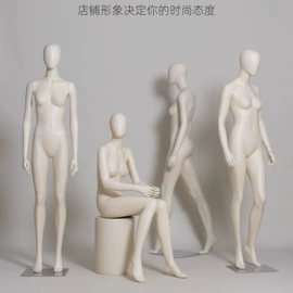 模特