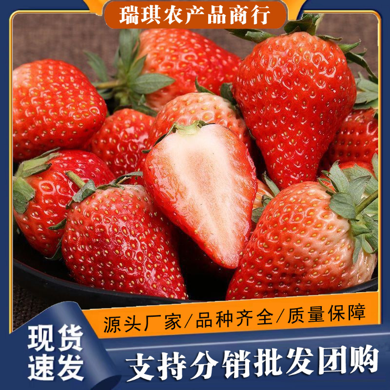 Shandong Cream Strawberries, Seasonal Fruit, Early Season Strawberries, Free Shipping Via Sf Express, Direct Delivery from the Place of Origin, Cream Strawberries, One-Piece Dropshipping