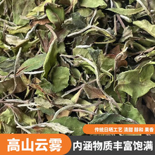 2023���Օ��¶�踣���ײ��ɽ�Ϙ����üؕüɢ��500����㴼��