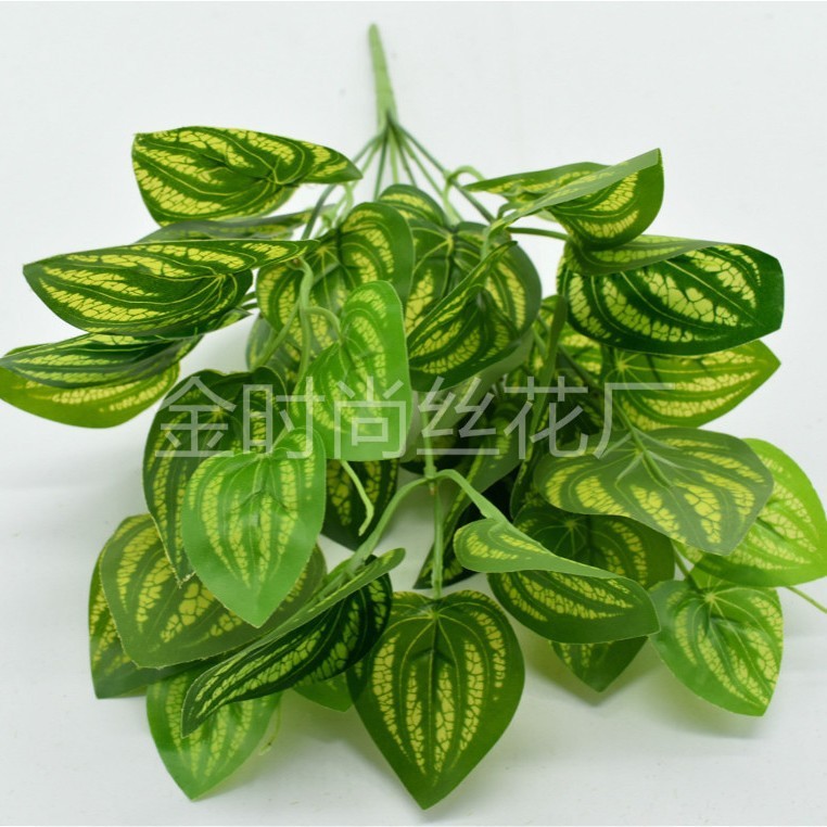 メーカー直販シミュレーション植物プラスチック造花植物壁配材ゴム手触り葉亀背葉緑羅|undefined