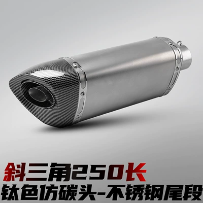 Scorpion Carbon Fiber Stainless Steel | Motorcycle exhaust pipe - inclined-triangle-tail-section-imitation-carbon-head-titanium-color-250-long