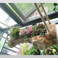 ��ʽ͸����⻨���L���μ��ô����Ғ섓�⾰�^�쾰�W�t��ľ�^����