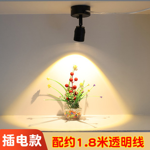 Norde focusing lamp plug-in Cabinet lamp adjustable astigmatism spotlight background wall no-routing No-punching le