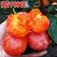 ���Ә�޽��������Ϸ������Nֲ֭��߮a�׻����Ե��Թ�����֭��