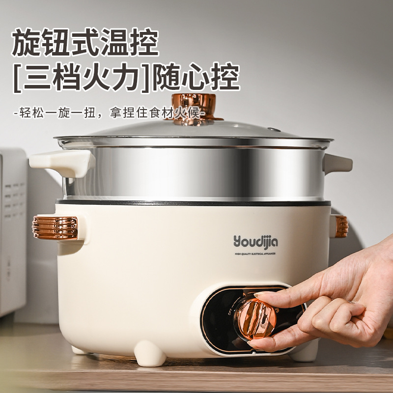 110V estándar americano 220V estándar británico estándar europeo cocinadora eléctrica multifuncional pequeña olla eléctrica casera caliente eléctrica transfronteriza pequeños electrodomésticos image 3