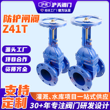 沪天阀门防护闸阀Z41T明杆铜芯硬密封球墨铸铁闸阀消防人防防护阀