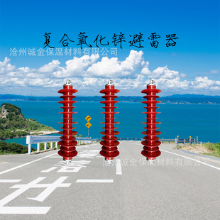 HY5WS high voltage composite zinc oxide arrester outdoor integrated power distribution type lightning arrester 6/10/20/35KV