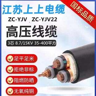 ���K����  ZC-YJV22��ȼ�^��䓎��z�b�����|  ��о�Љ�15kV