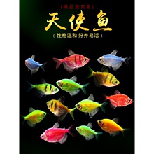 ��ʹ�~�^�p�~Ⱥ�Α���С�͵�ˮ���B�ͻ�t��ʹ�ϻ��Ꭷ�~���w�~��