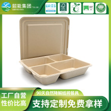 厂家定制一次性甘蔗浆纸浆长方形三格四格五格餐盒外卖便当打包盒