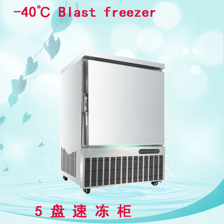 急速10盘冷冻柜 小型单冻海鲜大虾速冻机 -40商用急速冷冻低温柜