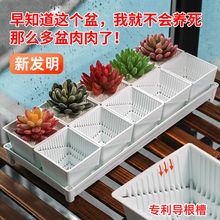 ���P�ظ����⻨���������b�M�τ���͸����������������бPС����