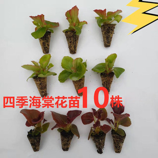 �ļ�����Ѩ�P��10����] �ļ��_�����B�׻��ױ����̨ͥԺ����