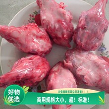 重庆新鲜兔头生鲜兔子头现杀冷冻兔脑壳包邮标准商用速冻批发包邮