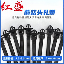 PP1002302Ģ���^�k�������7*165mm X25늄�܇���N����500�l/��