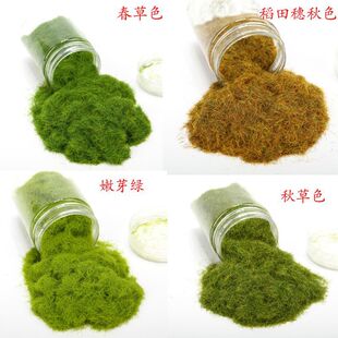 ����ݷ��ֹ�̦�\�辰Ұ��̦�\΢���^��ɽdiy̦�\ֲ�����΢��40g