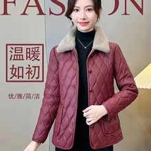 2025���ﶬ�r���¿������ꋌ���ߙn��ϴƤ�¼ӽq�Ӻ���|�ٴů