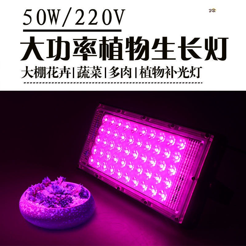 LED fill light, plant lamp solar-powered, comfortable light spectrum