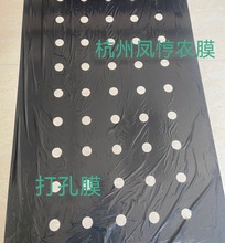 �����rĤ��׵�ĤPE�������L���ݱ�������Ĥ�߲�2����l؛