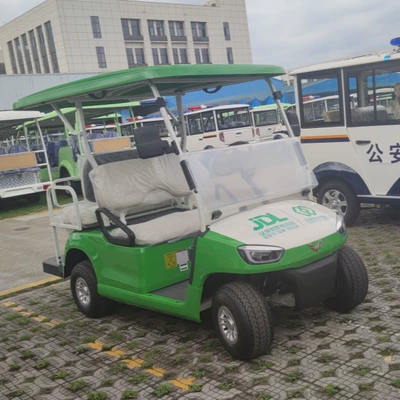 Wuling T Series Electric Elektrikli qolf avtomobilləri
