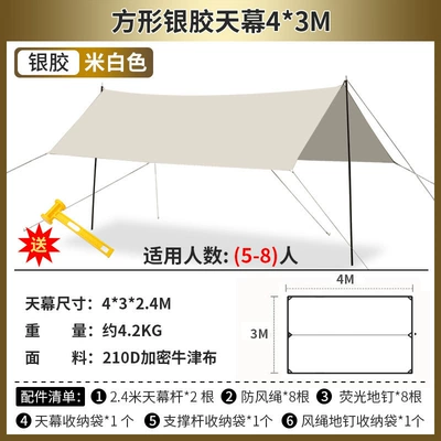 Vinyl Canopy Outdoor Camping – Avtomobil yan çətirləri - square-silver-plastic-canopy-off-white-43m-canopy