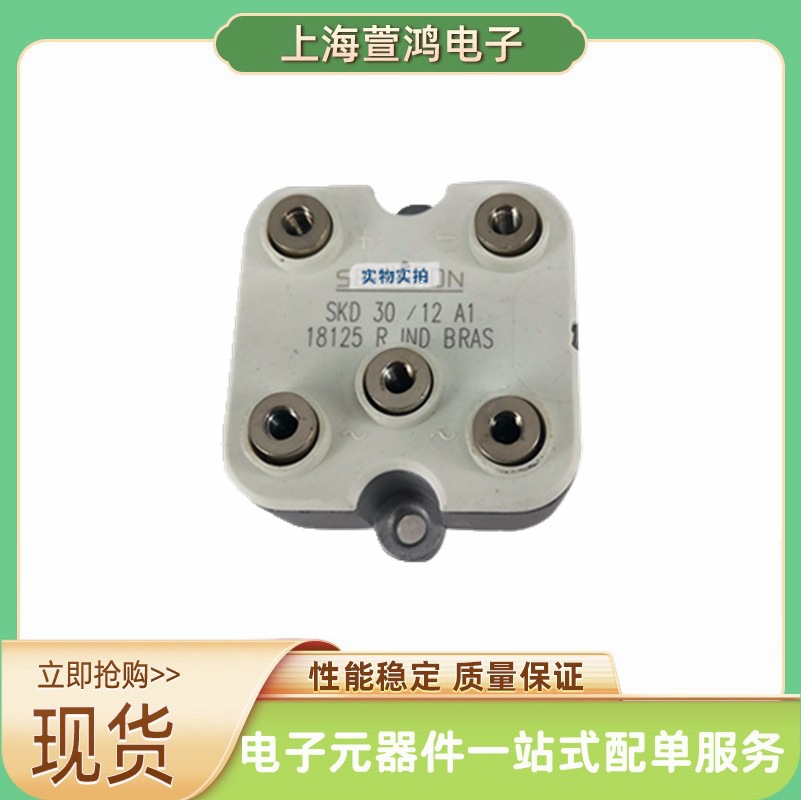 SKD30/12A1全新原装精品现货单向整流桥型号齐全高效物流品质保证