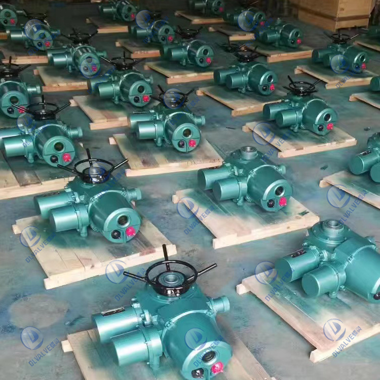DZW60-24W/Z/T 闸阀电动执行器 多回转隔爆型电动装置