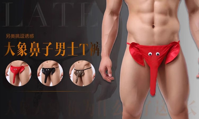 Xiuaisha Men’s Mesh Perspective Elephant Nose Thong, Leopard Print One Size — detail image 3