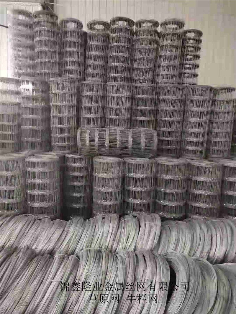 四川草原网  围栏网 防护网 隔离网  镀锌钢丝网 1.2米 1.5米2.米