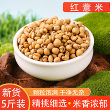 �t޲���r����؛�ԷN���x޲���ʲ�޲������s�Z�ּZ֧��һ�����l