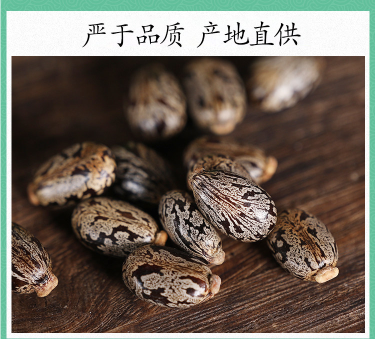 Wild Castor Seeds 500g Ricinus Communis Dried Bi Ma Zi Raw Herb for External Herbal Use specifications