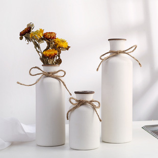 Amazon Simple European-style Ceramic Vase Home Decorations Ornaments White Decorative Crafts Vase Three-piece Set