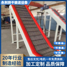 定制紧固件链板提升机 注塑上料机化工塑料颗粒爬坡机上料均匀