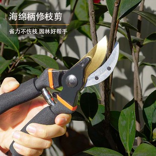 Fruit tree pruning scissors gardening scissors fruit branches pruning scissors flower greening grafting garden shears sponge handle pruning scissors