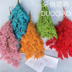 Pinecone dried flower everlasting flower Nordic style internet celebrity bouquet high-end light luxury home decoration flower arrangement real flower branch 