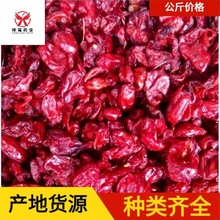 ɽ����1000�����[ș�I�F؛�����o��ǟo�ǟo�˺���ɽ���� ��Ƥ