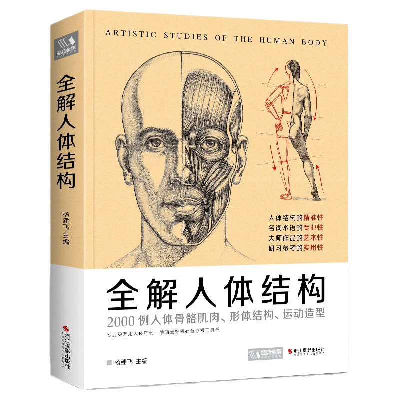 Classic physiological art teaching aids, human body structure, anatomy