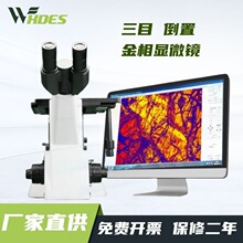 �a�¶�˹  4XC-MS�����@΢�R�F̼�Ͻ�����x���T�F����M��/����