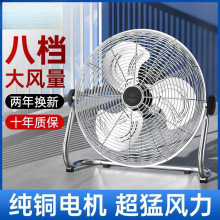 钻石电风扇工业强力趴地扇大风力摇头台地式座爬地扇功率电扇