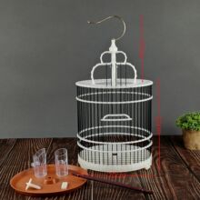 6������B�\�A�\��Ƥĵ���������BС���B�\���^�@ˇ�B�\���l