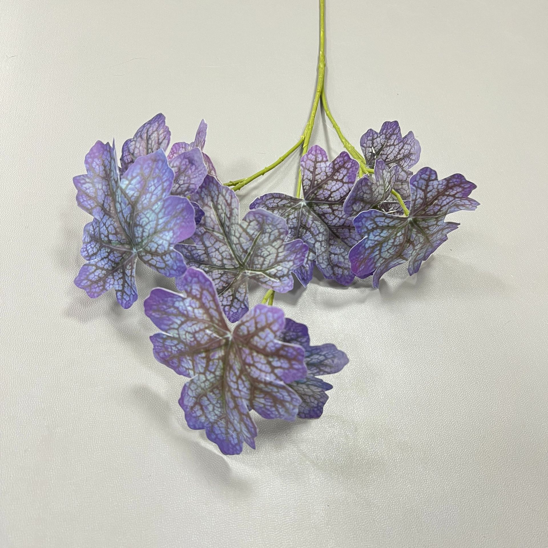 보라