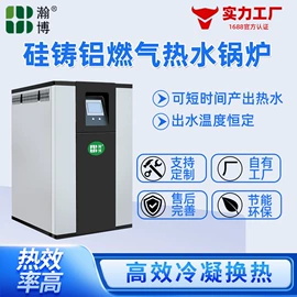 燃气锅炉;蒸汽发生器;换热器